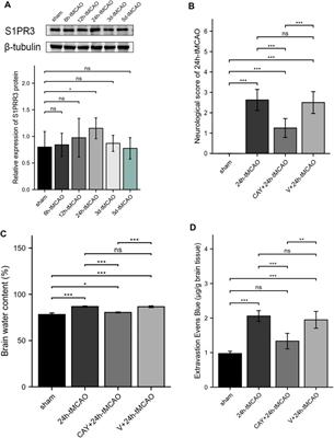 S1PR3, as a Core Protein Related to Ischemic Stroke, is Involved in the Regulation of Blood–Brain Barrier Damage